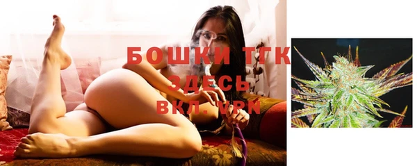 ГАЛЛЮЦИНОГЕННЫЕ ГРИБЫ Бронницы