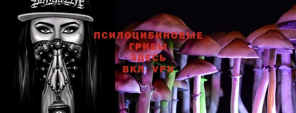 apvp Бугульма