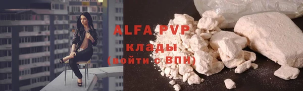прущие крисы Богданович