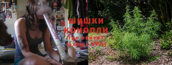 ГАЛЛЮЦИНОГЕННЫЕ ГРИБЫ Бронницы
