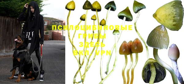 прущие крисы Богданович