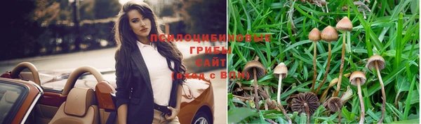 прущие крисы Богданович