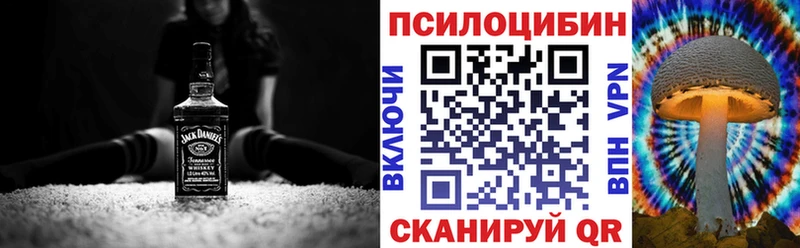 Купить закладки  Комсомольск  Галлюциногенные грибы мицелий 